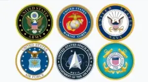 The United States Armed Forces or Branches of The Military