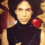 "The Ritualistic Life and Murder of Prince" series episodes
