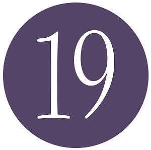 The Number "19", one of the most prominent "Prince Numbers"