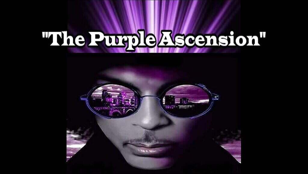 Prince "The Purple Ascension" Coaching Sessions