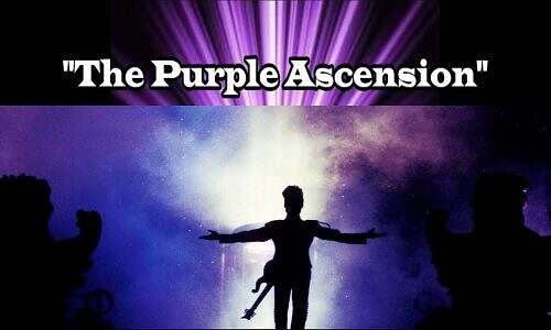 The "Purple Ascension" Coaching Sessions